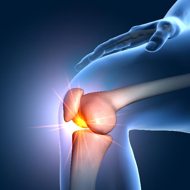 Bones and Joints X RAY 3D knee square Joint Pain Treatment Muscle Relief heailBOX Medical Clinics 5 Bones and Joints X RAY 3D knee square
