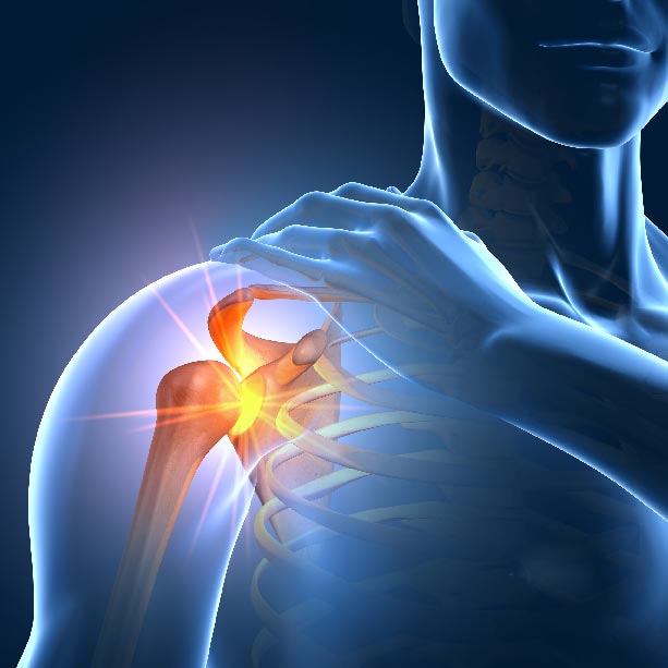 Bones and Joints X RAY 3D shoulder square Joint Pain Treatment Muscle Relief heailBOX Medical Clinics 2 Bones and Joints X RAY 3D shoulder square